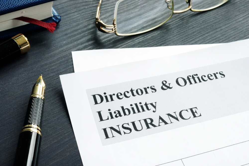 D&O Insurance